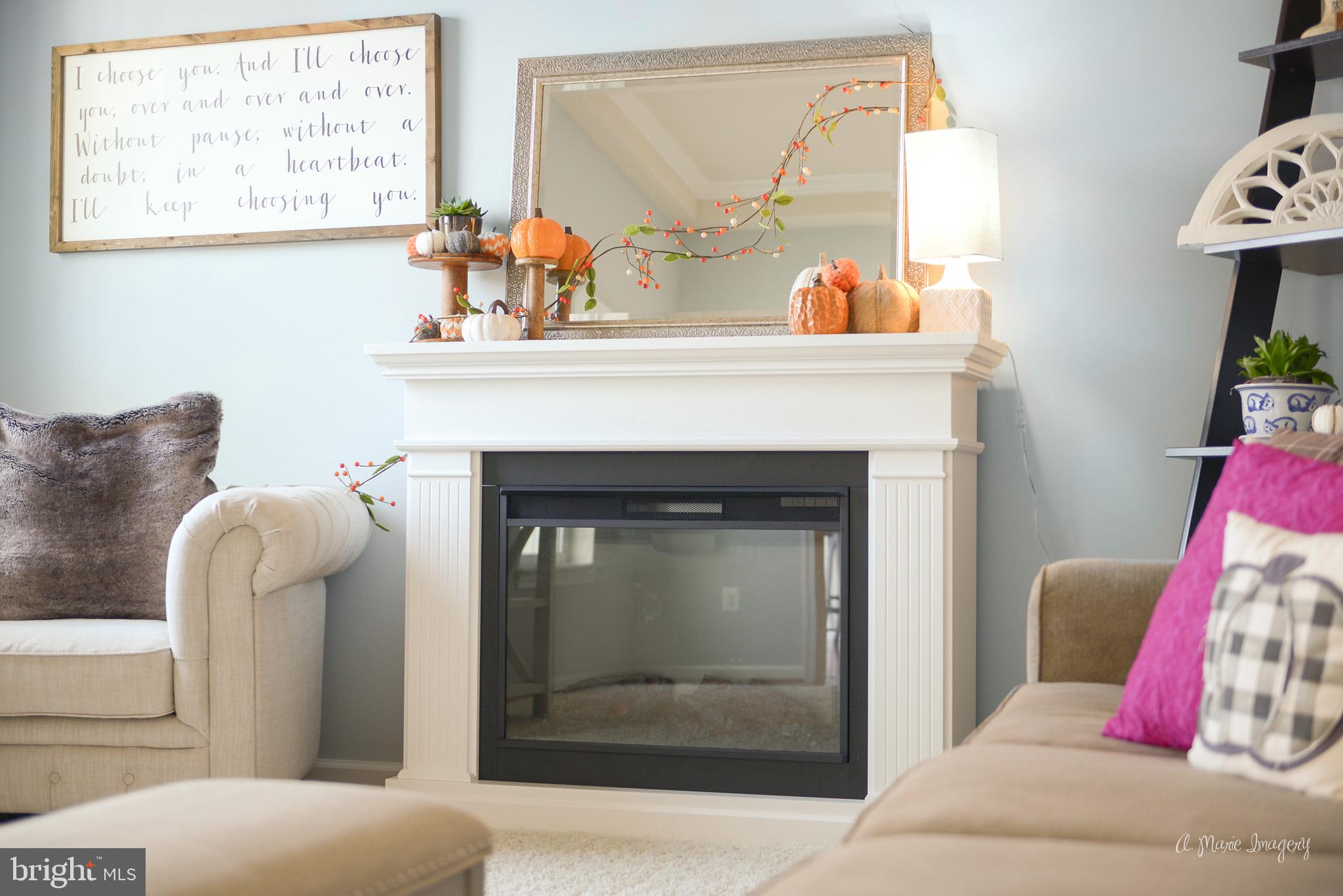 9162 Bealls Farm Road Frederick, MD 21704 - Photo 25 of 68 Fireplace insert in family room