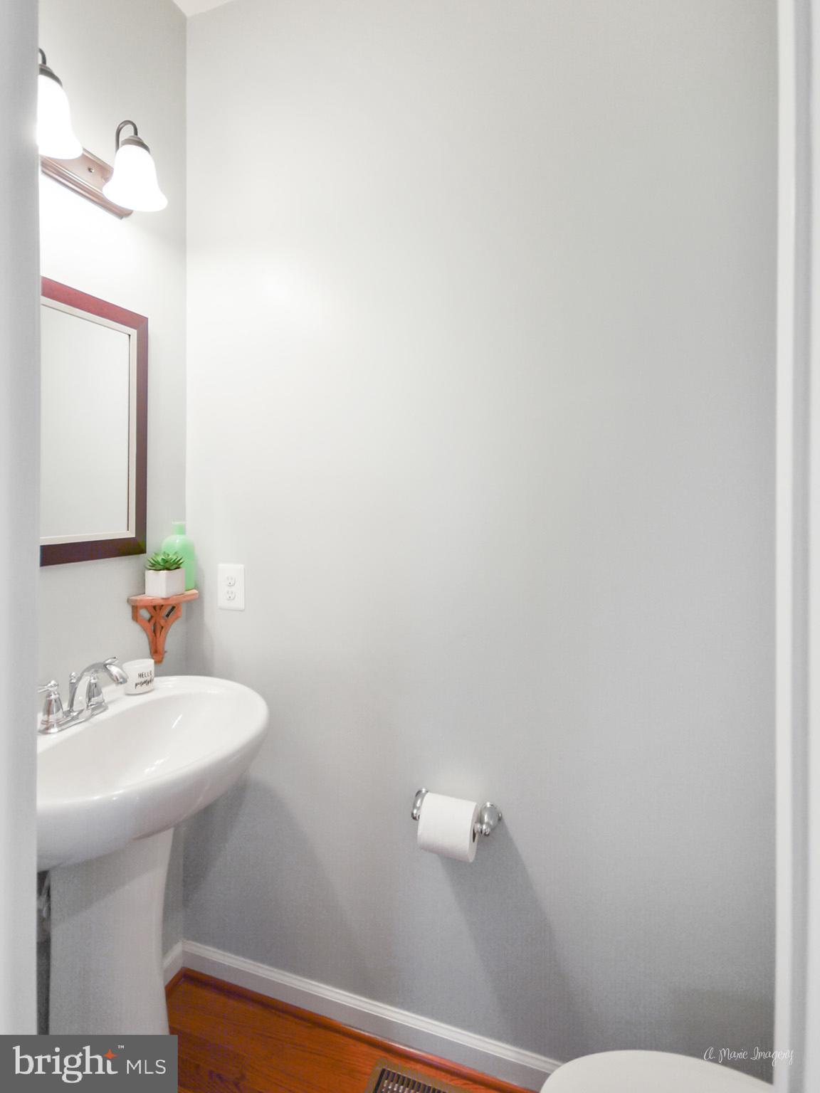 9162 Bealls Farm Road Frederick, MD 21704 - Photo 28 of 68 Main floor powder bath
