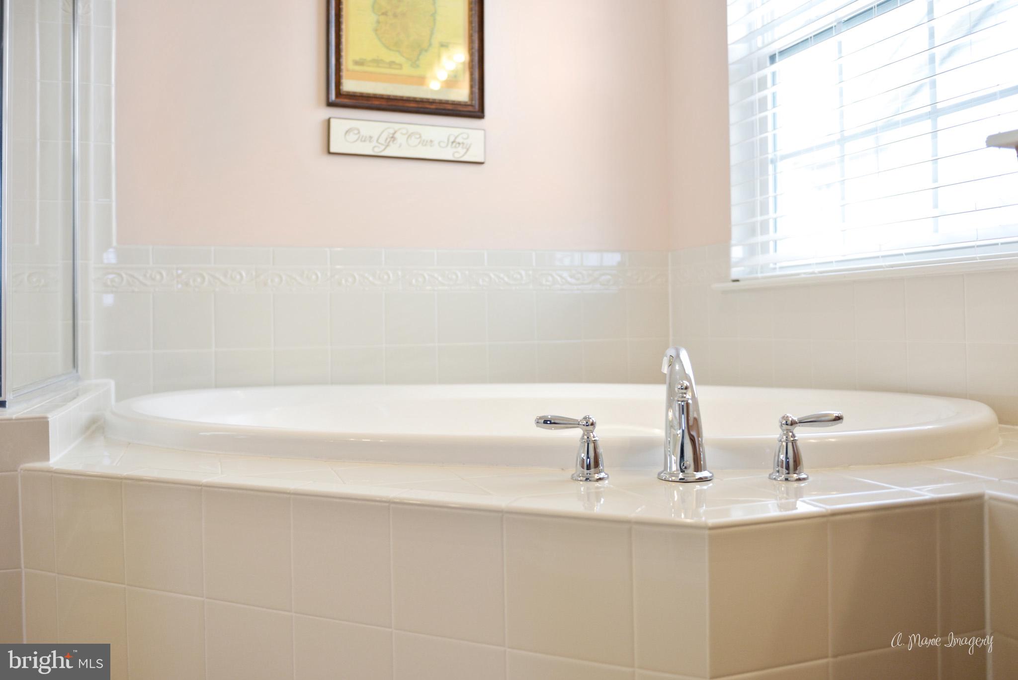 9162 Bealls Farm Road Frederick, MD 21704 - Photo 32 of 68 Master Ensuite soaking tub