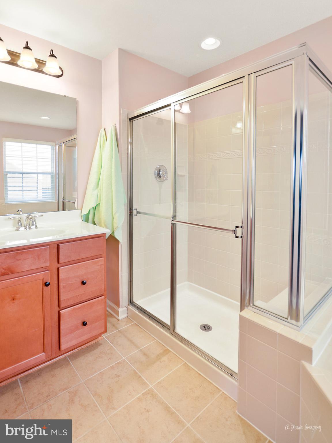 9162 Bealls Farm Road Frederick, MD 21704 - Photo 34 of 68 Master bath 2nd vanity & shower