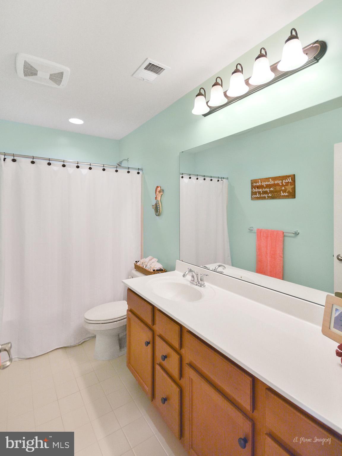 9162 Bealls Farm Road Frederick, MD 21704 - Photo 41 of 68 2nd full bath in upper level hall