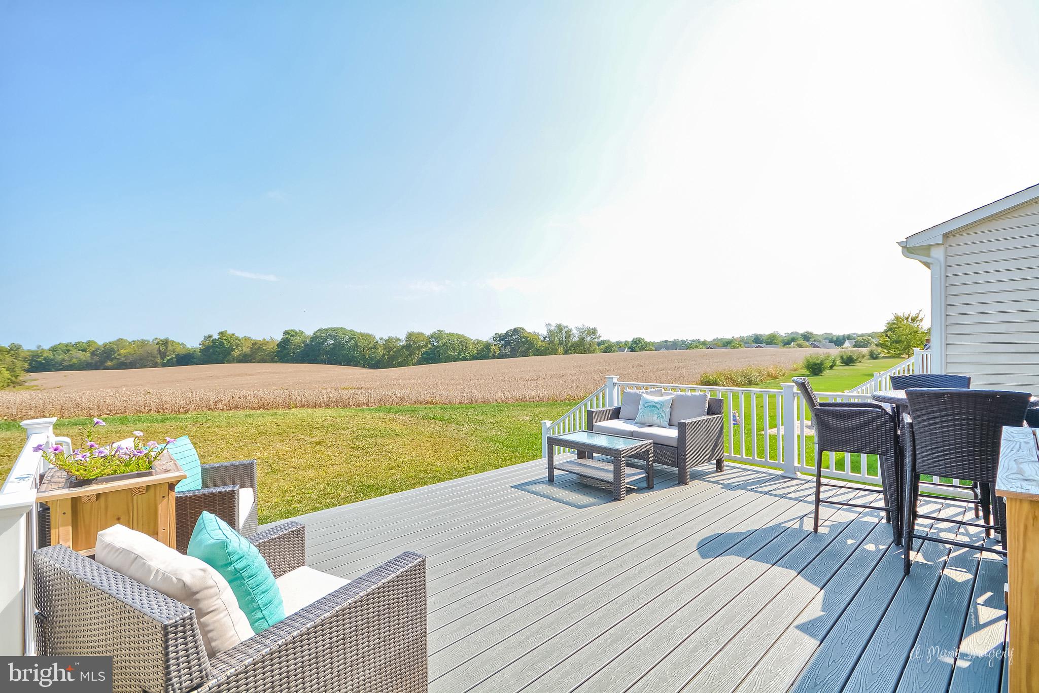 Custom, oversized deck backs to green/open space