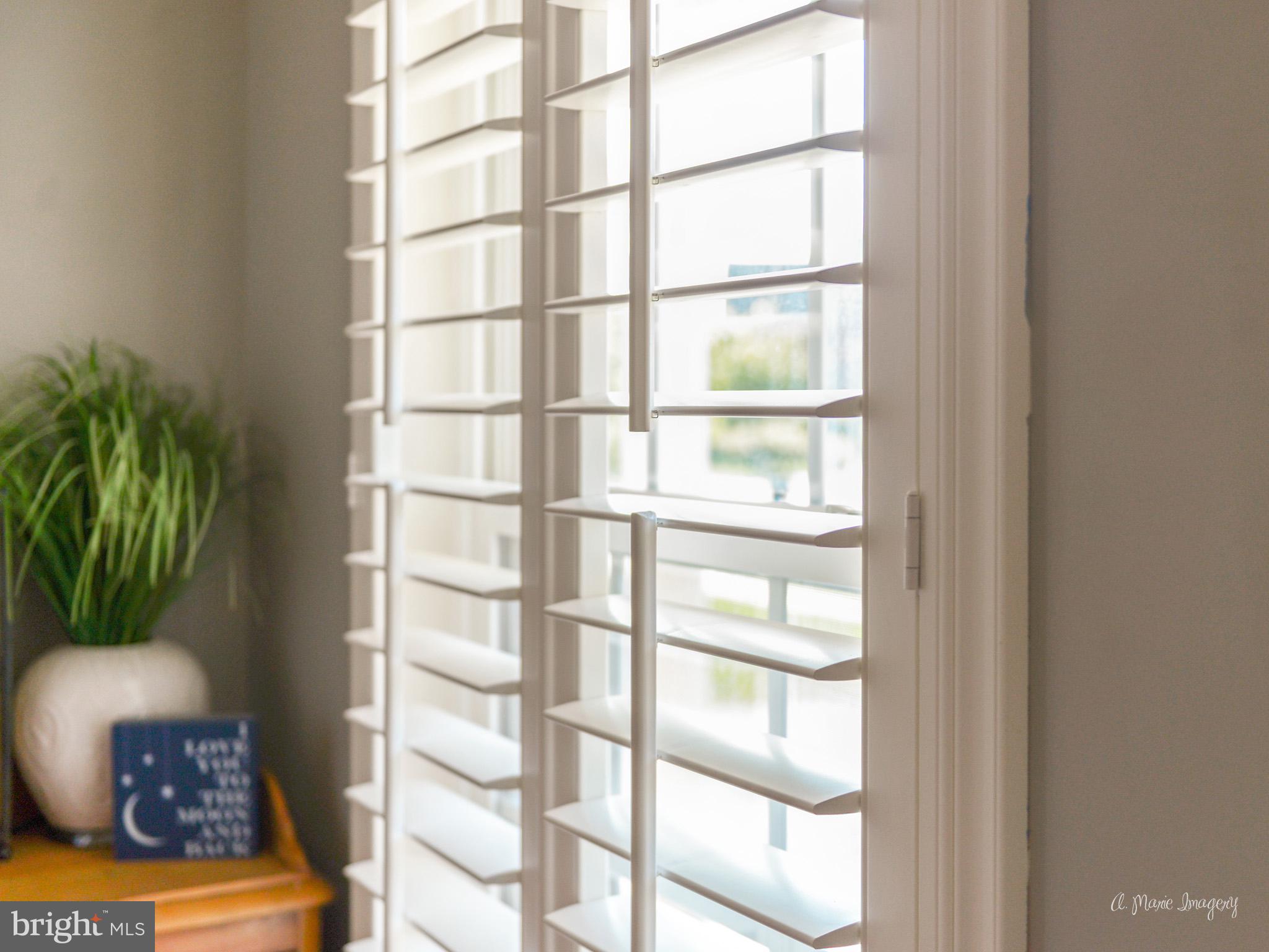 9162 Bealls Farm Road Frederick, MD 21704 - Photo 9 of 68 Lovely custom touches and finishes thru-out