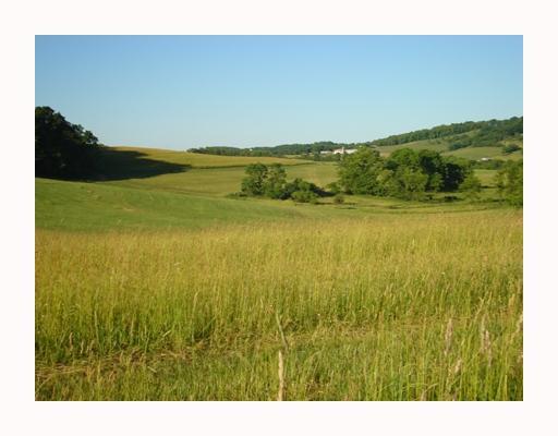 Hickory Road Scenery Hill, PA 15360 - Photo 1 of 8 Gallery Image 1