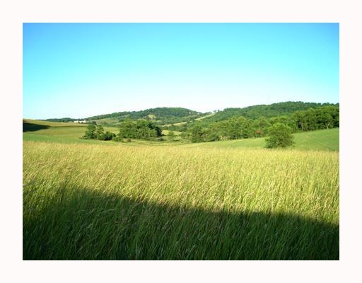 Hickory Road Scenery Hill, PA 15360 - Photo 2 of 8 Gallery Image 2