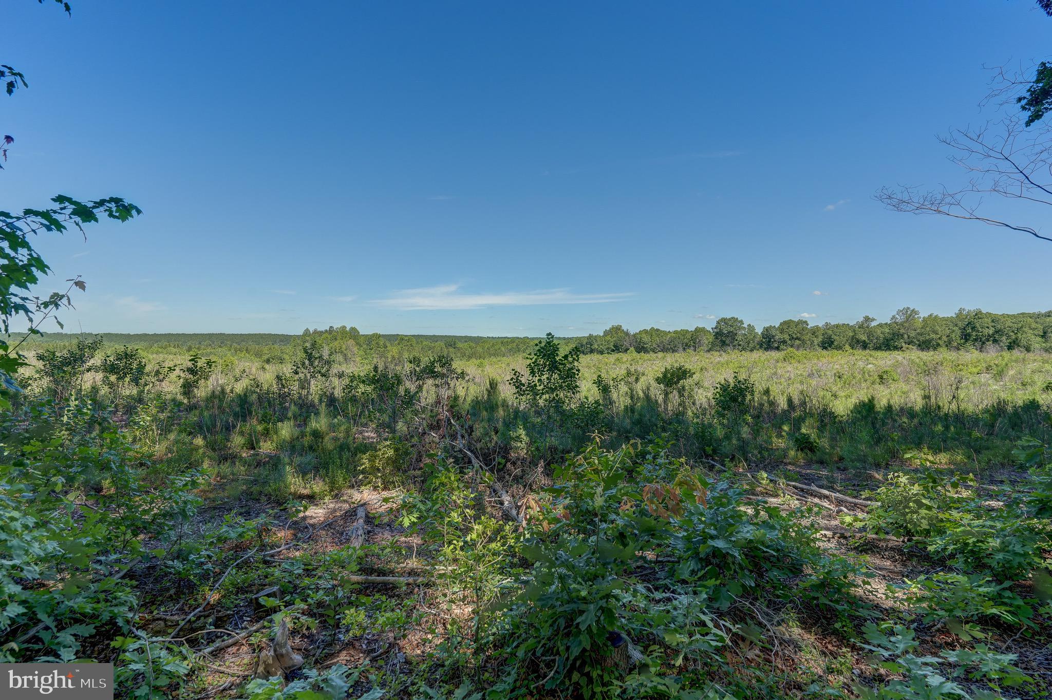 4319 Indian Creek Road Mineral, VA 23117 - Photo 44 of 46