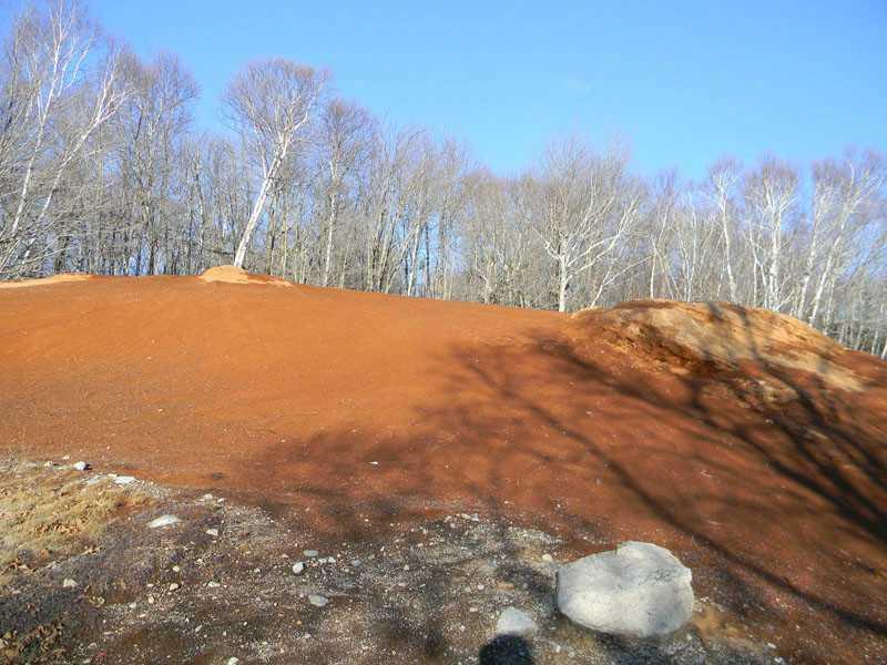82 Birch Point Millinocket, ME 04462 - Photo 23 of 35 Yard/Garden.