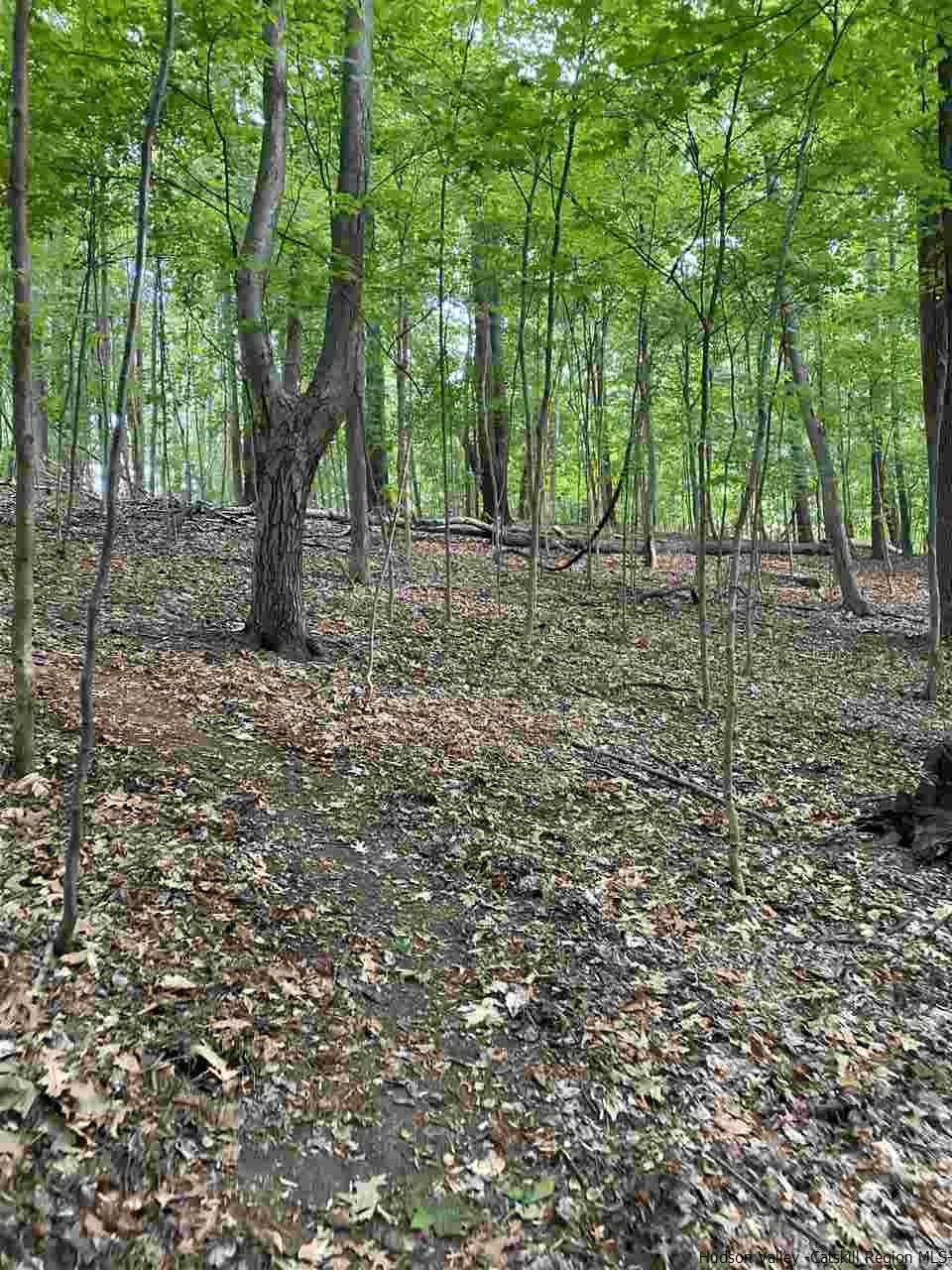 Tbd Fischer Avenue, Unit TBD ROSENDALE AVENUE Kingston, NY 12401 - Photo 13 of 18 Photo 13