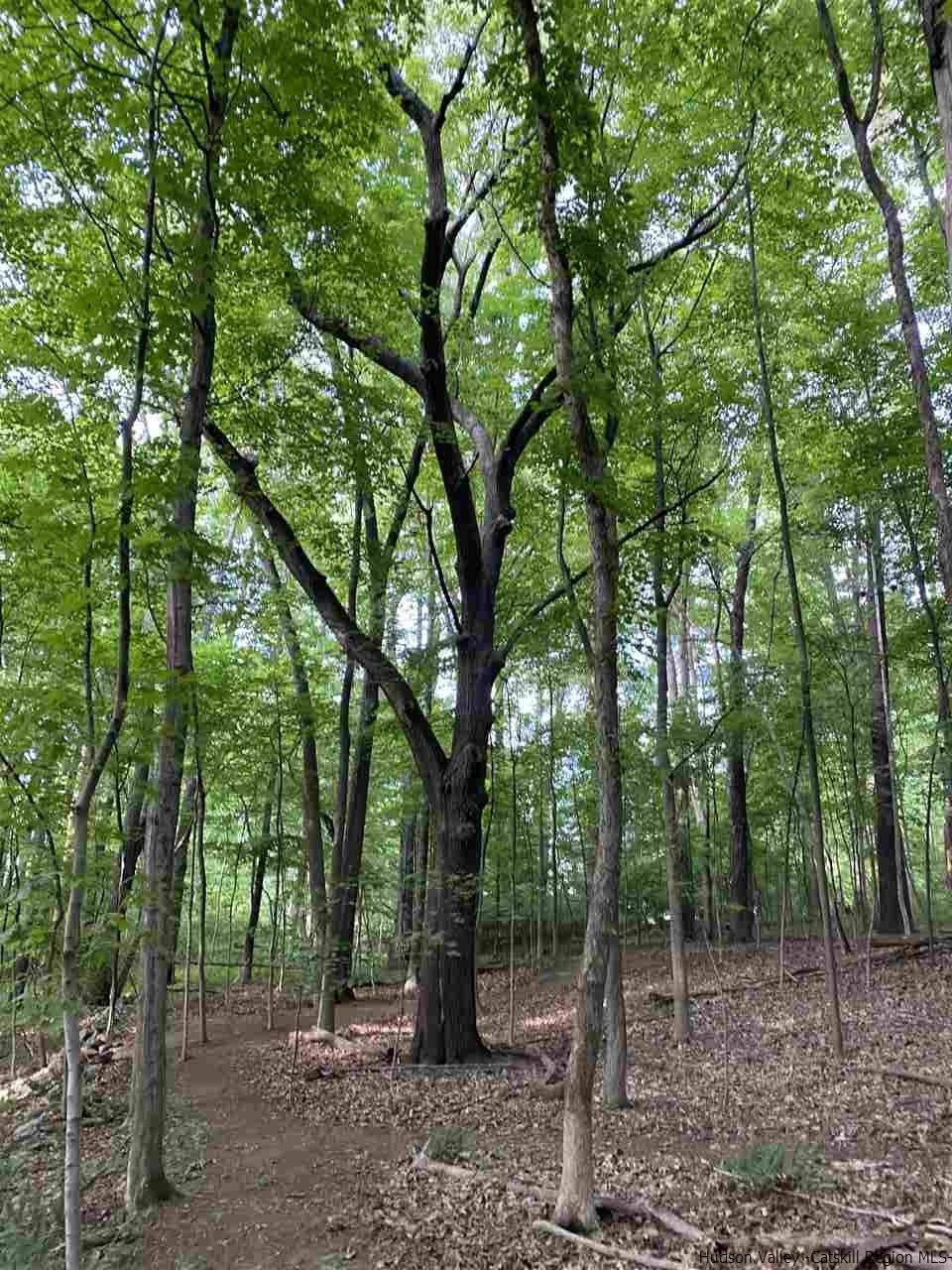Tbd Fischer Avenue, Unit TBD ROSENDALE AVENUE Kingston, NY 12401 - Photo 16 of 18 Photo 16