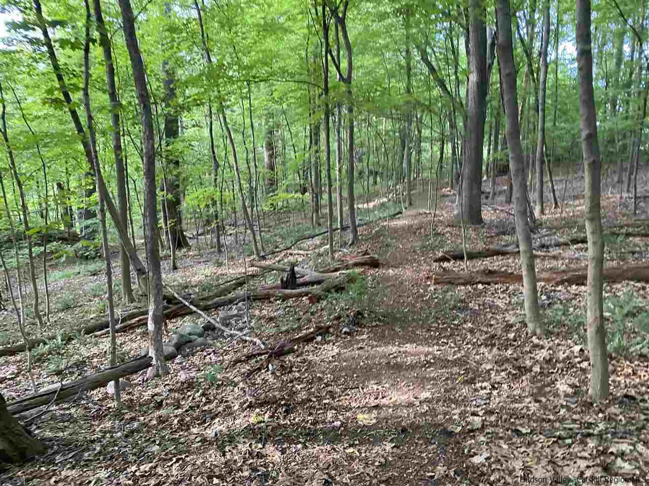 Tbd Fischer Avenue, Unit TBD ROSENDALE AVENUE Kingston, NY 12401 - Photo 3 of 18 Photo 3
