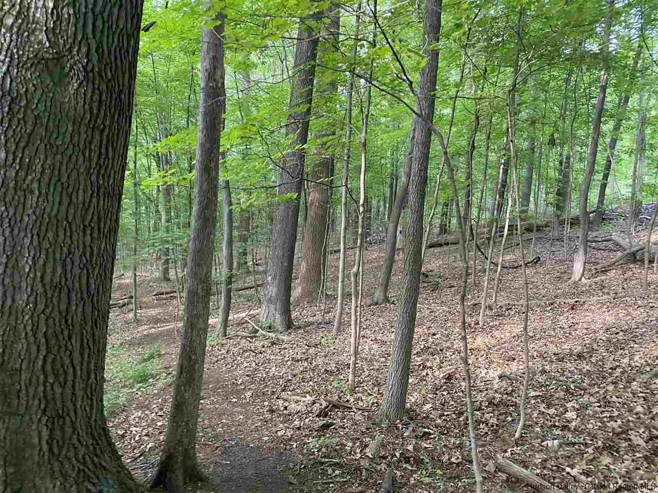 Tbd Fischer Avenue, Unit TBD ROSENDALE AVENUE Kingston, NY 12401 - Photo 4 of 18 Photo 4