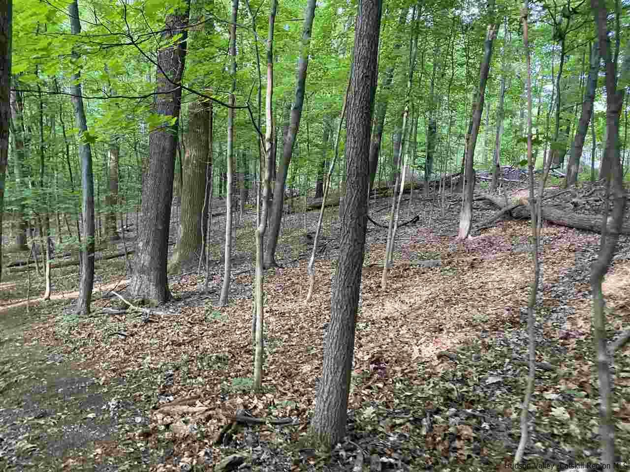 Tbd Fischer Avenue, Unit TBD ROSENDALE AVENUE Kingston, NY 12401 - Photo 7 of 18 Photo 7