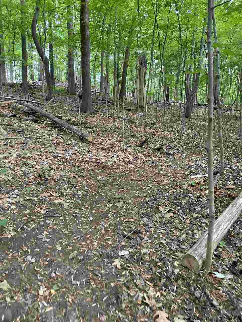 Tbd Fischer Avenue, Unit TBD ROSENDALE AVENUE Kingston, NY 12401 - Photo 10 of 18 Photo 10