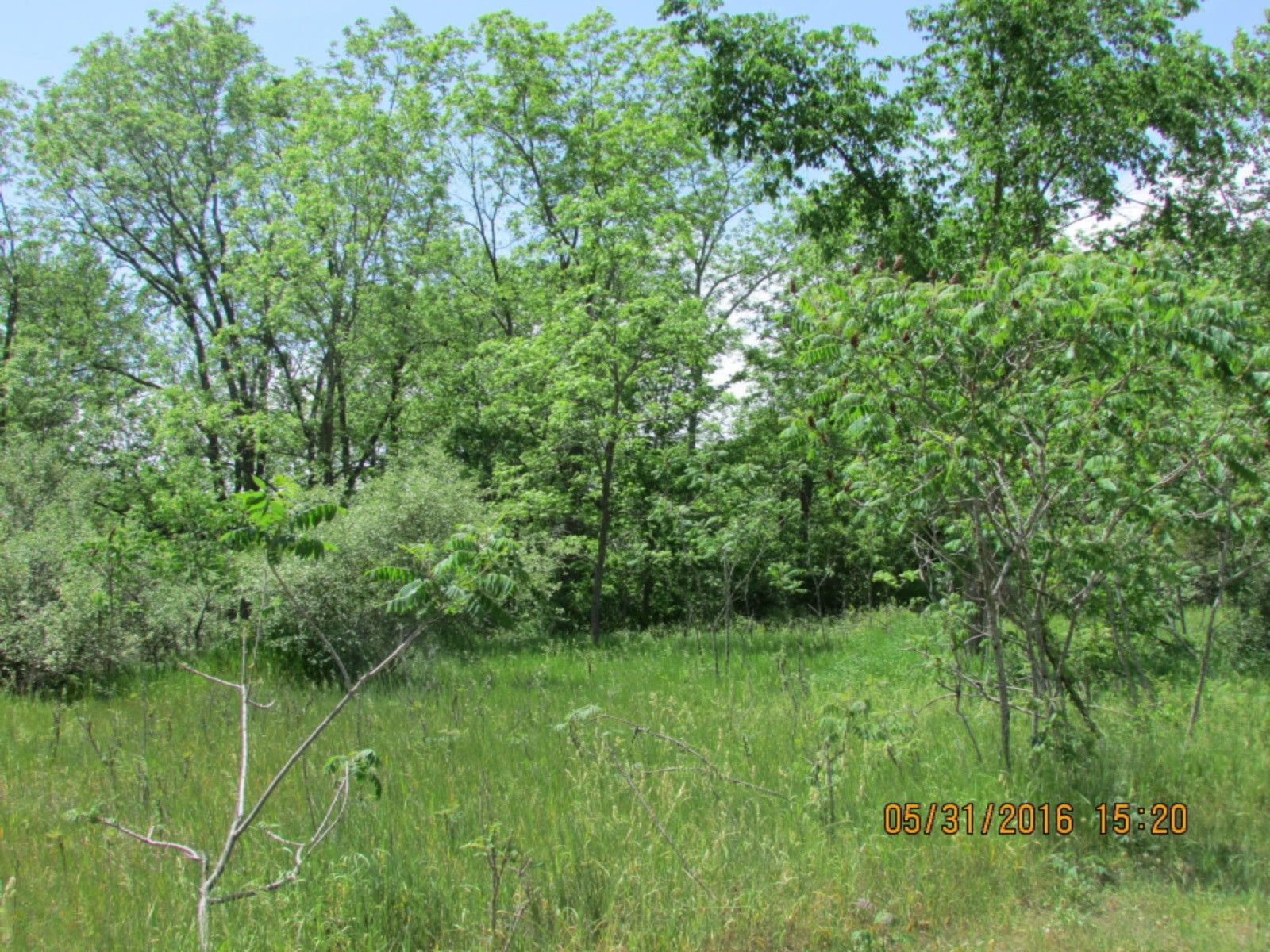 2 Brott Road Reading, MI 49274 - Photo 1 of 5 8000 005