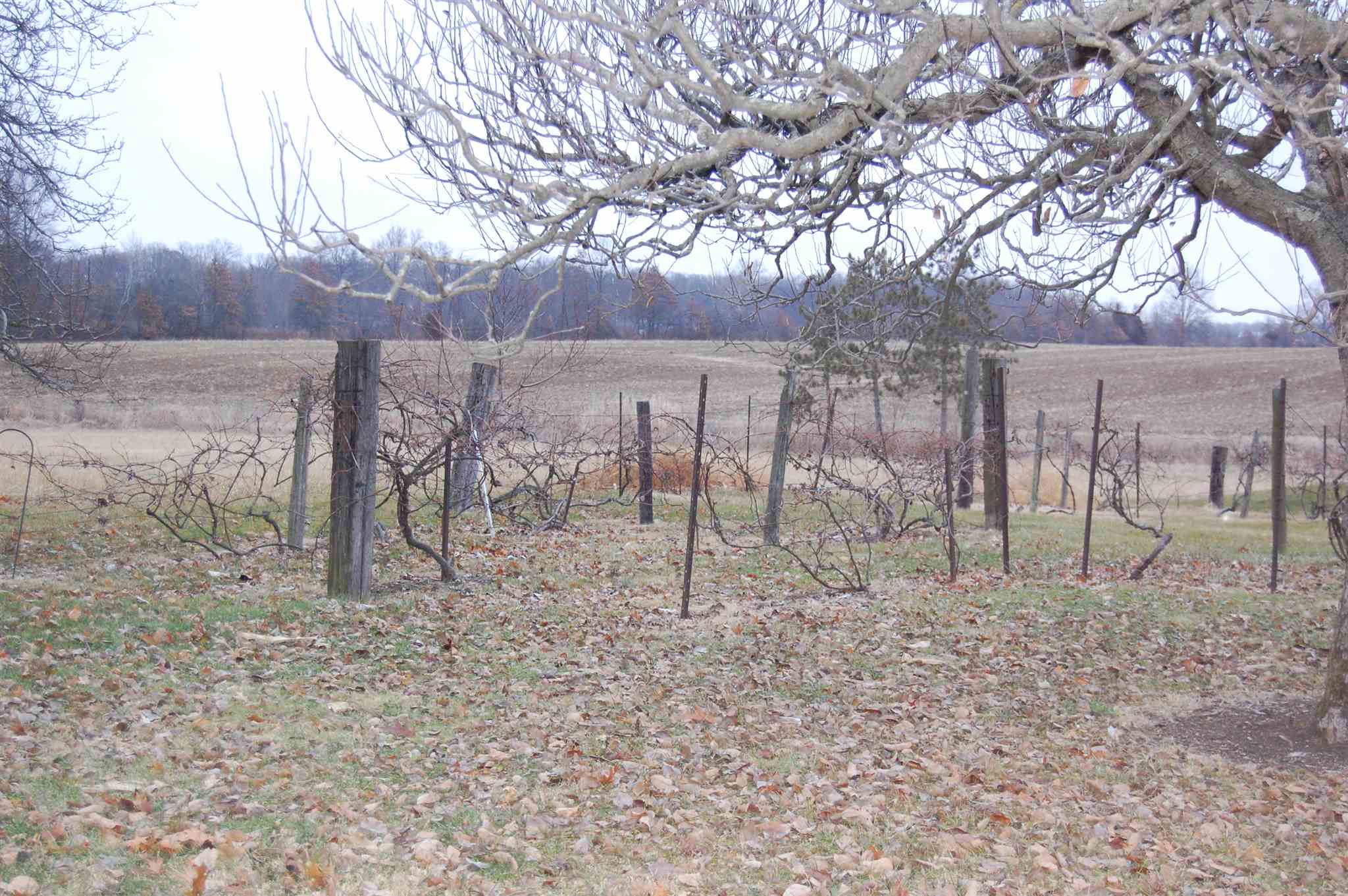 12809 Brunson Road Hoagland, IN 46745 - Photo 34 of 36