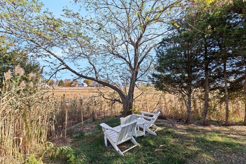 74 Cherry Street Marshfield, MA 02020 - Photo 6 of 35 a view of a backyard with wooden fence and large trees