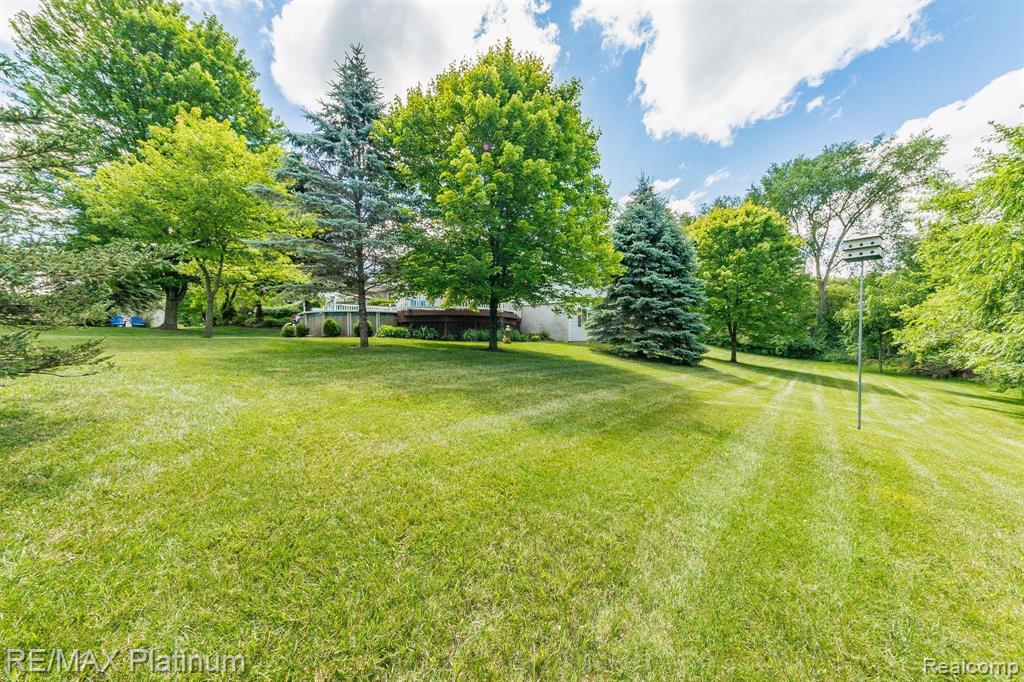 3738 West Schafer Road Pinckney, MI 48169 - Photo 31 of 75