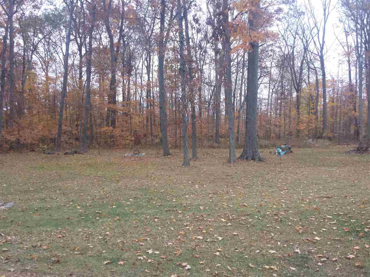 16702 Wappes Road Churubusco, IN 46723 - Photo 6 of 17