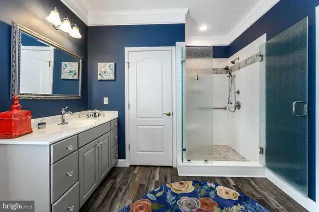 a bathroom with a sink a mirror and a shower