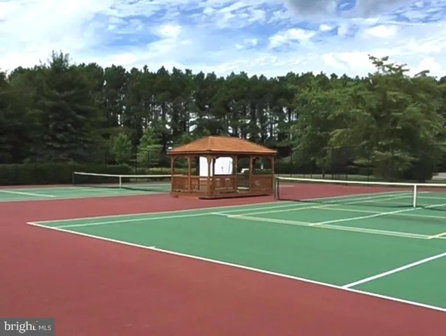 a view of a tennis ground with a large trees