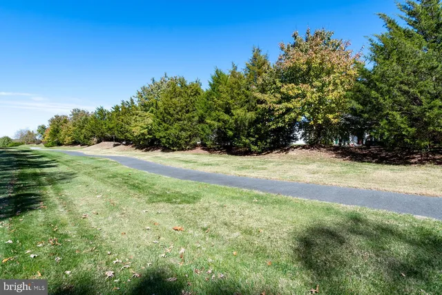 a view of an outdoor space and a yard