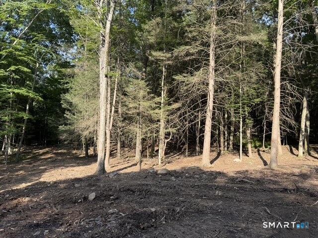 Lot 1 West Chalybes Road Roxbury, CT 06783 - Photo 1 of 10 Gallery Image 1