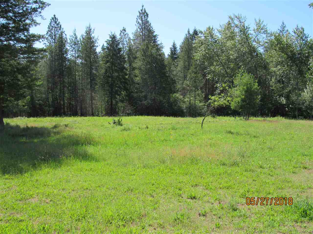 23902 North Whispering Pines Road Colbert, WA 99005 - Photo 10 of 17