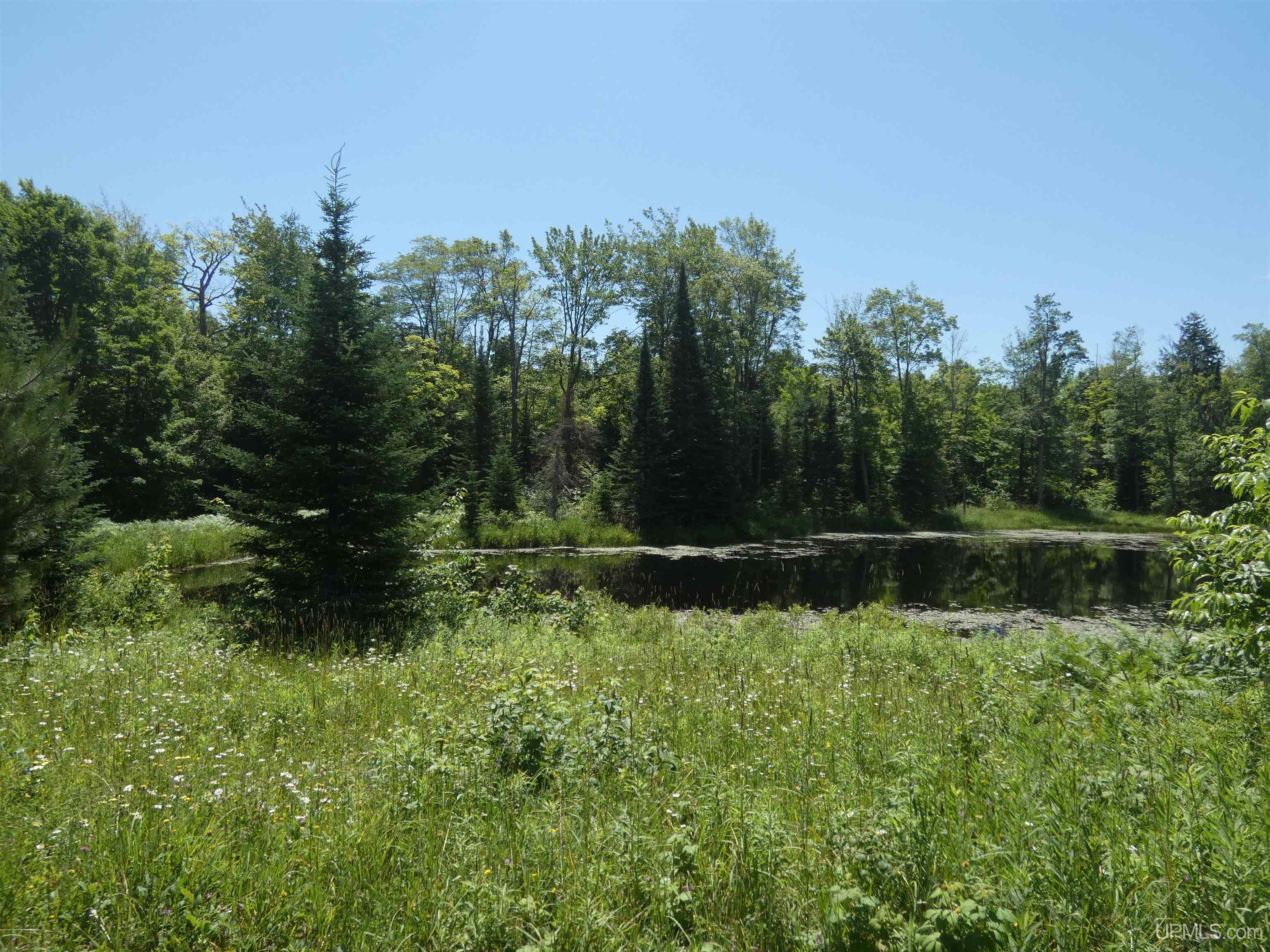 Tbd Peterson Road Nisula, MI 49952 - Photo 2 of 19 Gallery Image 2