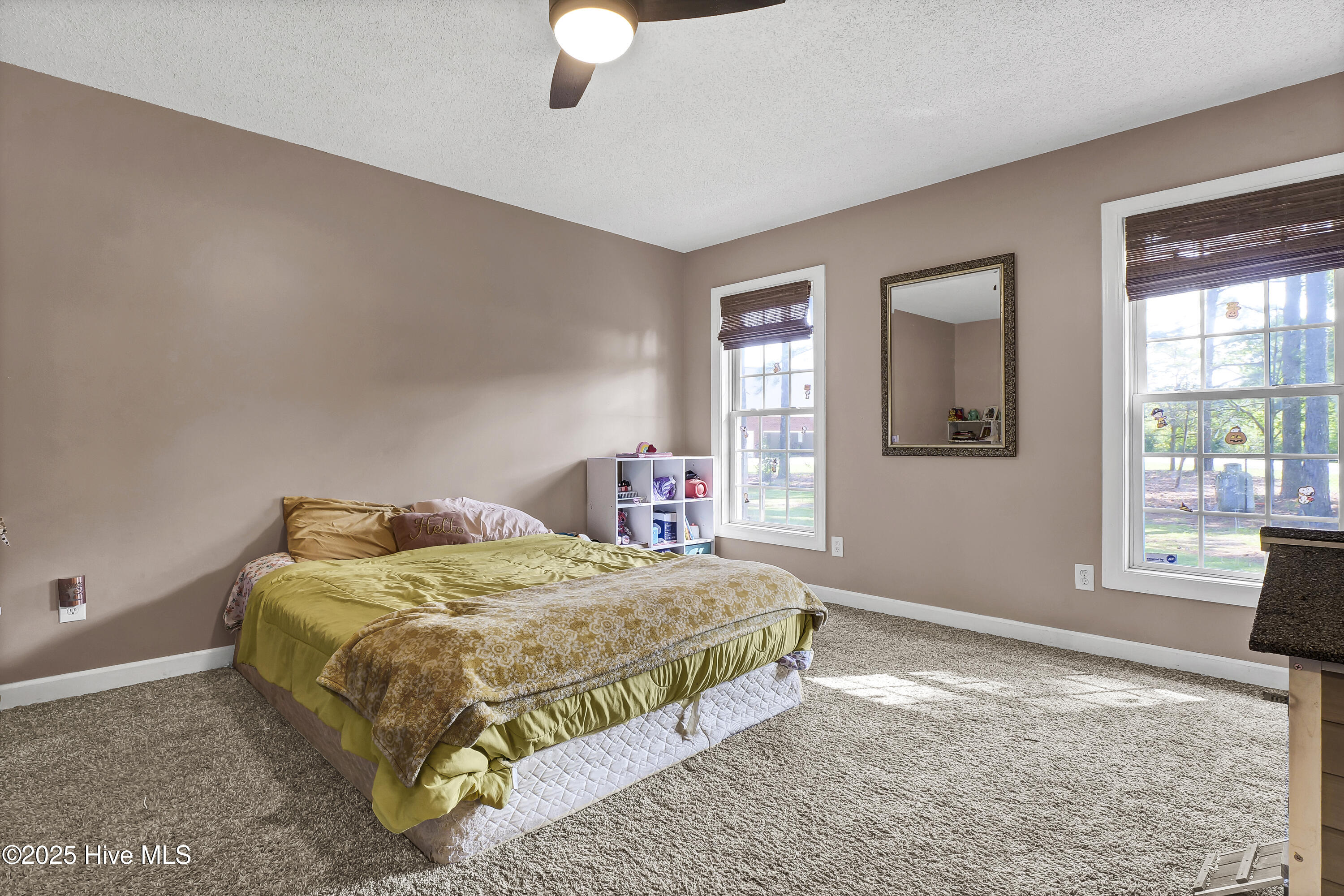4353 Duplin County Road Pink Hill, NC 28572 - Photo 22 of 31 P6855606