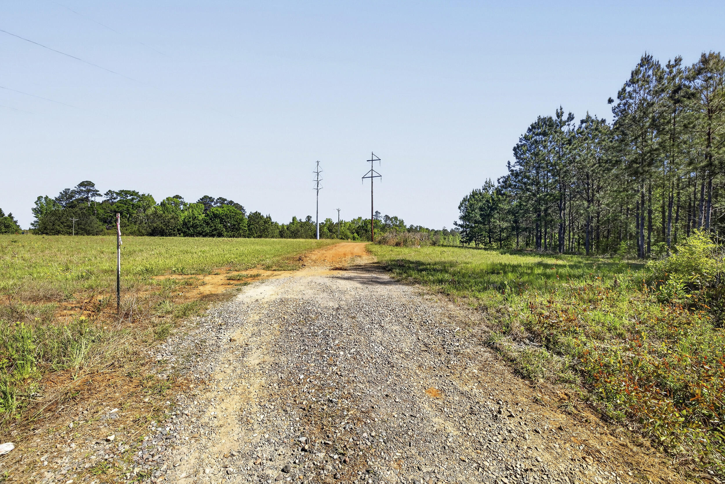 800 Currytown Road North Augusta, SC 29860 - Photo 4 of 29 4_r6ii2594-edit