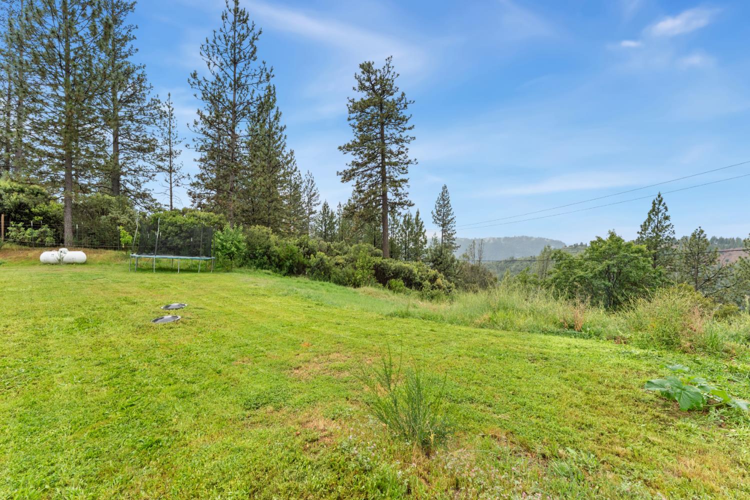 6212 Dark Canyon Road Placerville, CA 95667 - Photo 3 of 13