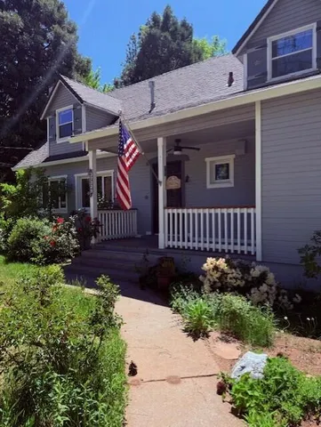 a view of a tree in the middle of a park