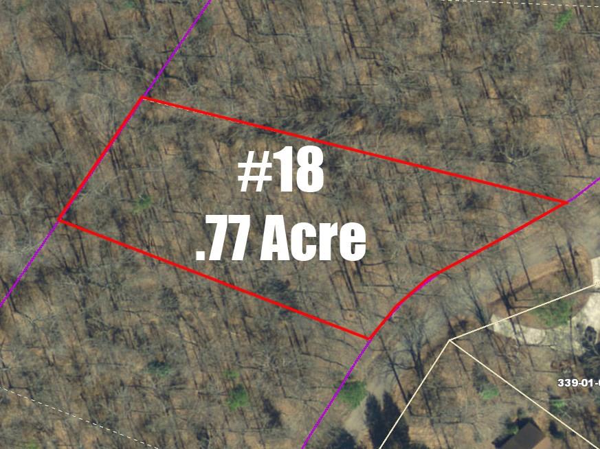 0 Cunningham Slough Road Waterloo, SC 29384 - Photo 12 of 31
