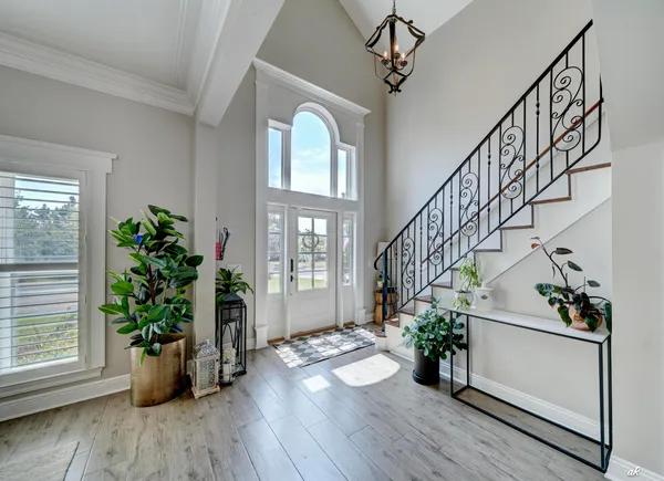 a view of entryway with wooden floor and a potted plant