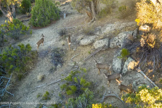 $1,595,000 | 1212 County Road 238, Unit 238, Silt, CO 81652