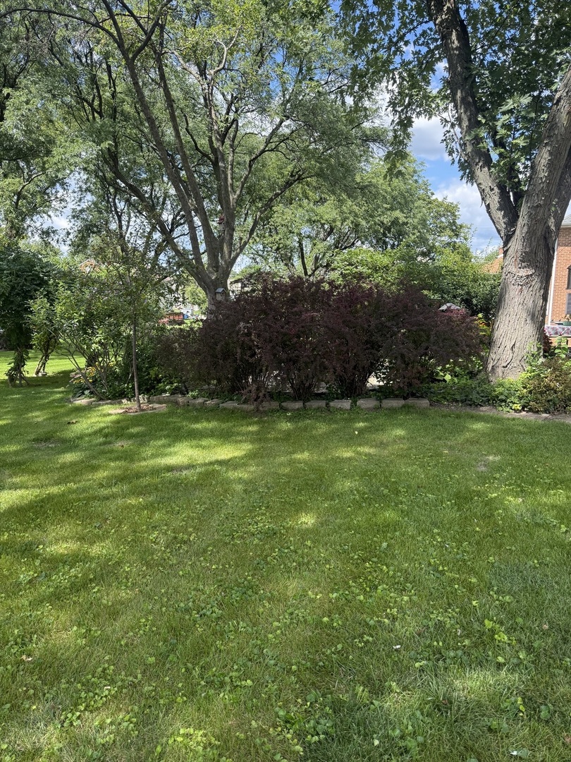 12 Gibson Road Park Forest, IL 60466 - Photo 17 of 19