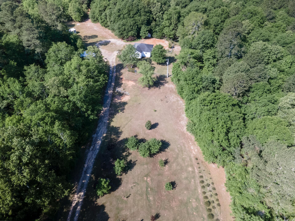 765 Flowing Well Road Wagener, SC 29164 - Photo 24 of 42