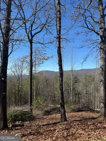 a view of a tree in a yard