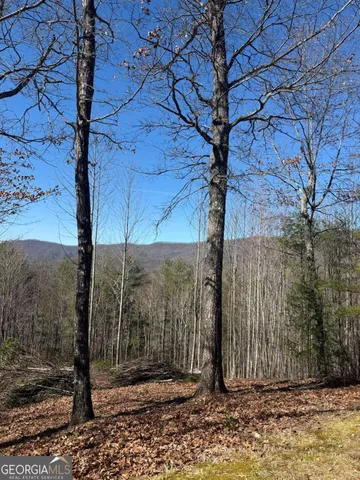 a view of a entrance gate of a road