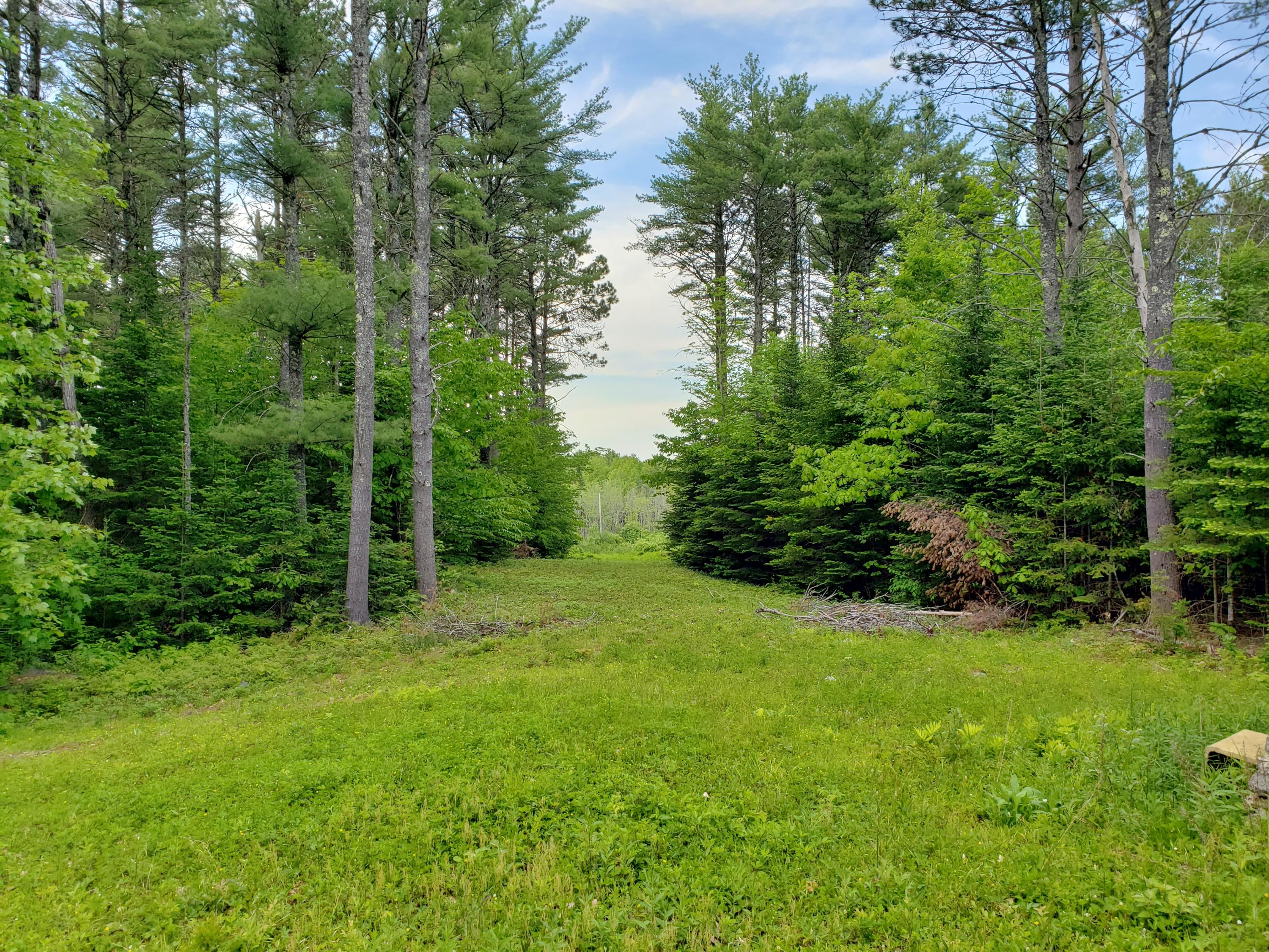 113 Cabin Road Somerville, ME 04348 - Photo 11 of 25 20190610_181422