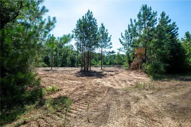 $54,900 | Lot 2 Mile Road, Pitkin, LA 70656