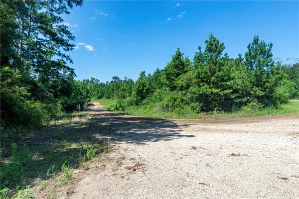 $54,900 | Lot 2 Mile Road, Pitkin, LA 70656