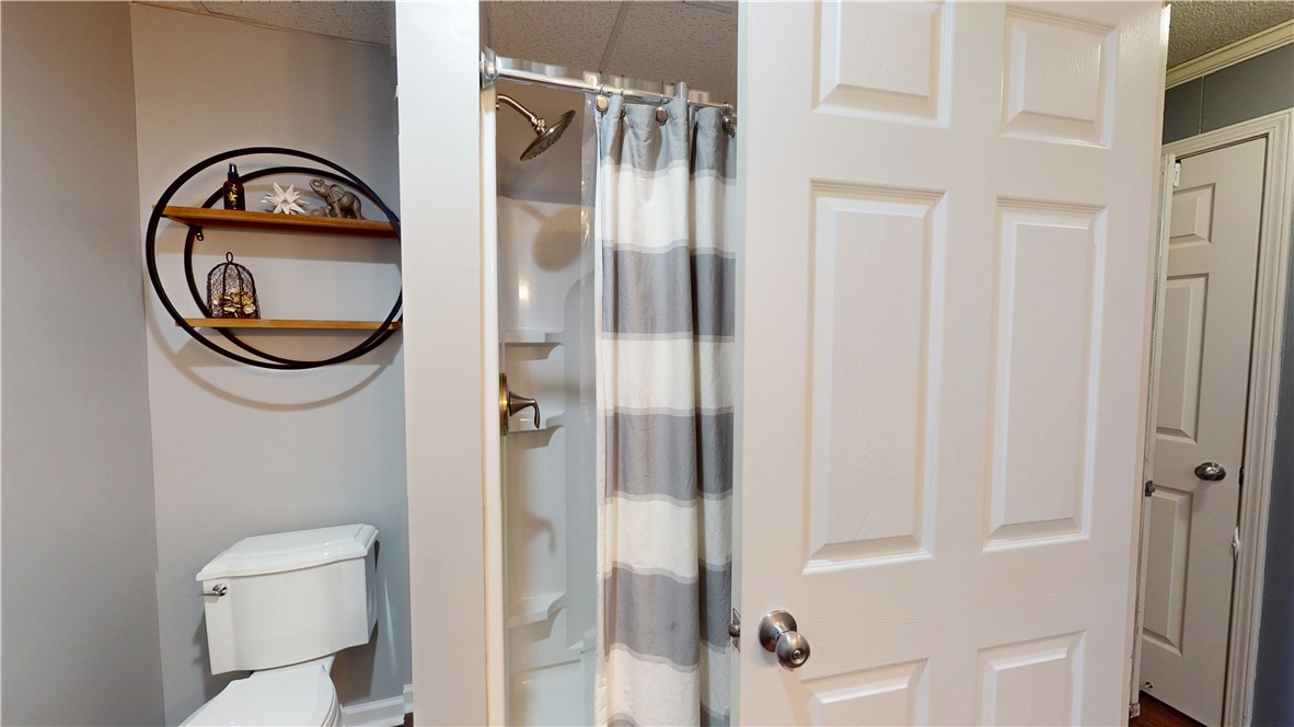 15009 Beacon Ridge Drive Seneca, SC 29678 - Photo 31 of 37 Walk in shower in lower level bath
