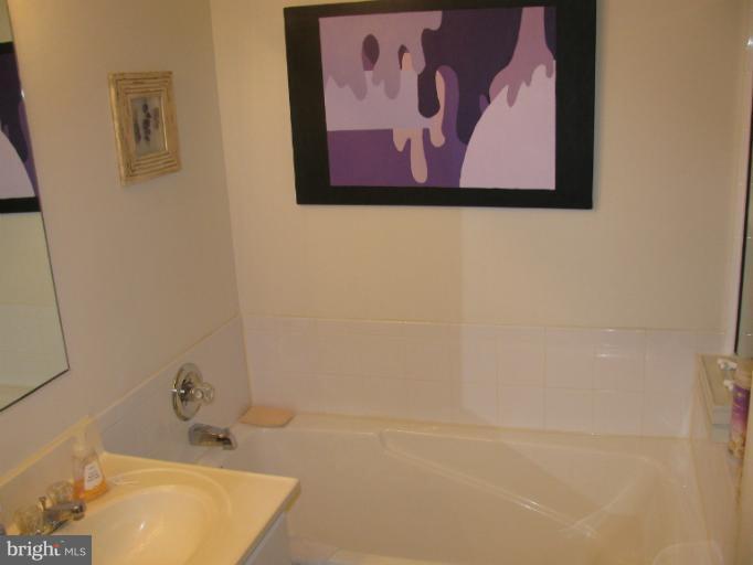 6354 Wind Rider Way Columbia, MD 21045 - Photo 14 of 15 Bath (Master)