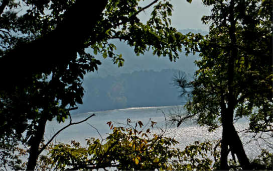 Main View