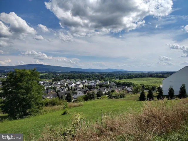 a view of a bunch of trees and cars