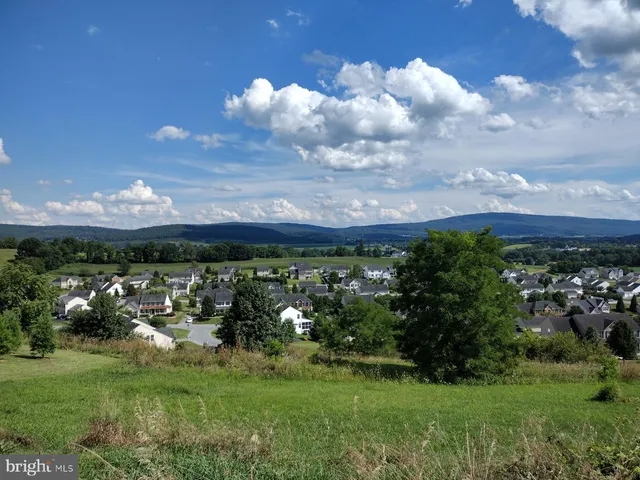 a view of a bunch of trees and cars