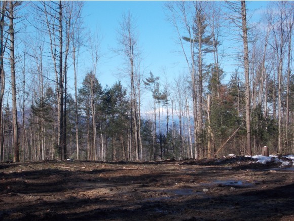 0 Bickford Road Madison, NH 03849 - Photo 1 of 1 Gallery Image 1
