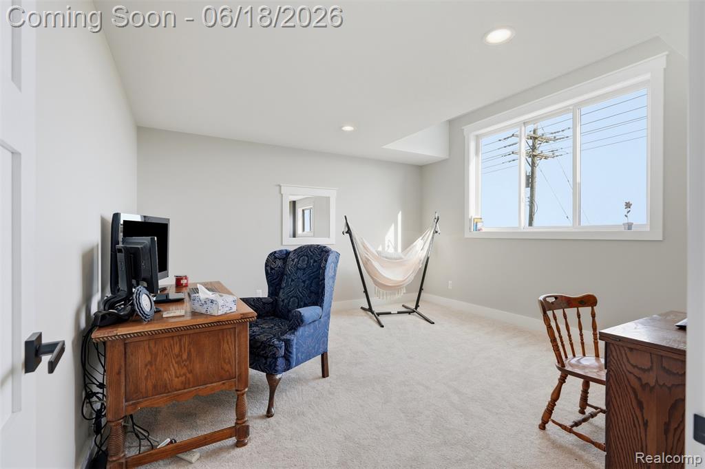 31100 South River Road Harrison Township, MI 48045 - Photo 42 of 85