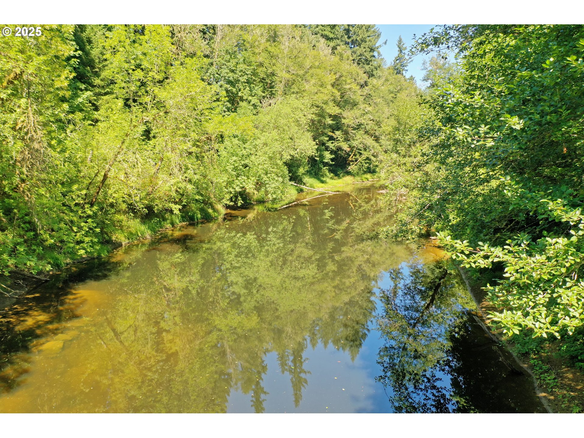 64977 Nehalem Highway North Vernonia, OR 97064 - Photo 40 of 48 a view of a yard with a tree